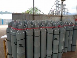 SO2 Gas